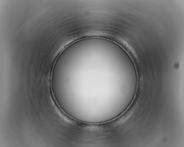 X0000090781033200707201131