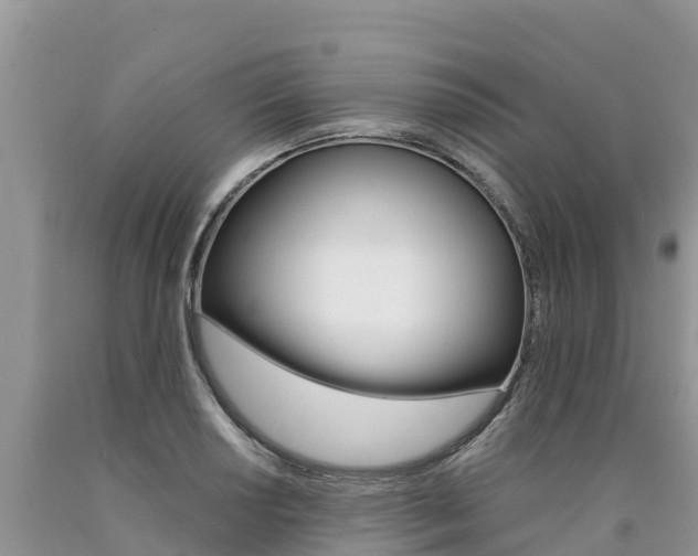X0000090781034200707201131