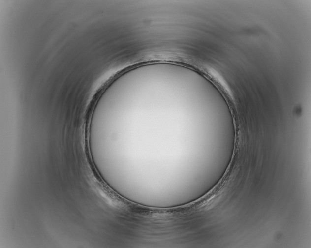 X0000090781035200707201131