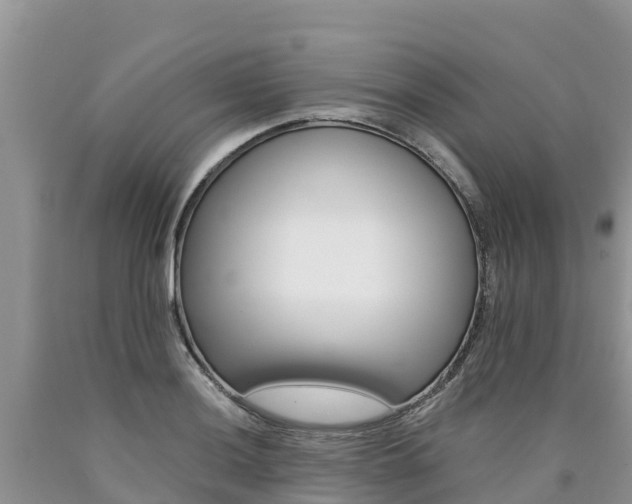 X0000090781036200707201131