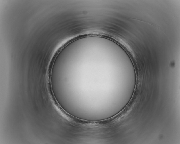 X0000090781037200707201131
