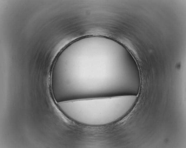 X0000090781040200707201131