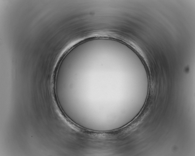 X0000090781045200707201131