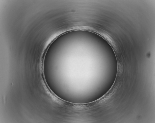 X0000090781046200707201131