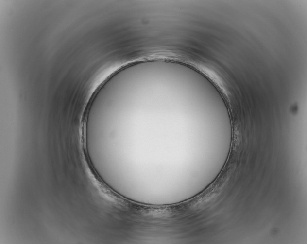 X0000090781047200707201131