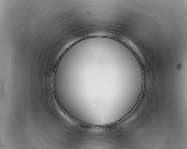 X0000090781049200707201131