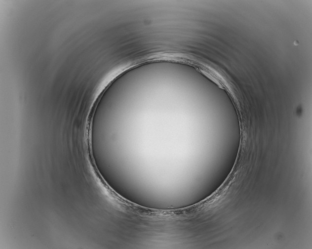 X0000090781050200707201131
