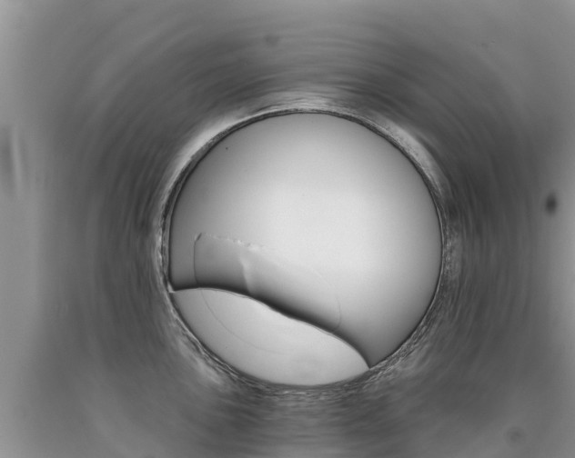 X0000090781051200707201131