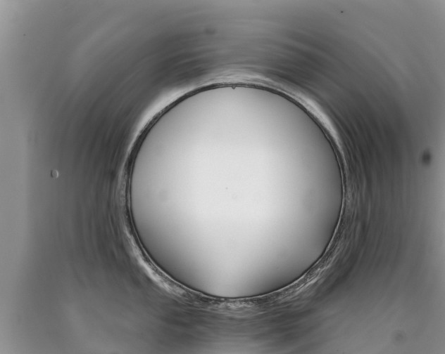 X0000090781053200707201131