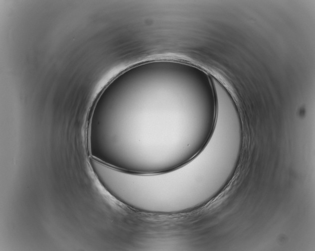 X0000090781054200707201131