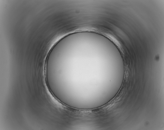 X0000090781055200707201131