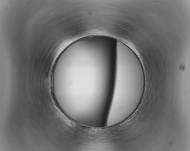 X0000090781056200707201131