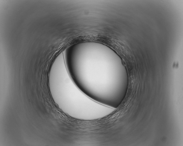 X0000090781057200707201130