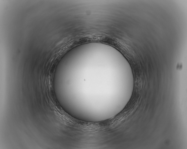 X0000090781058200707201130