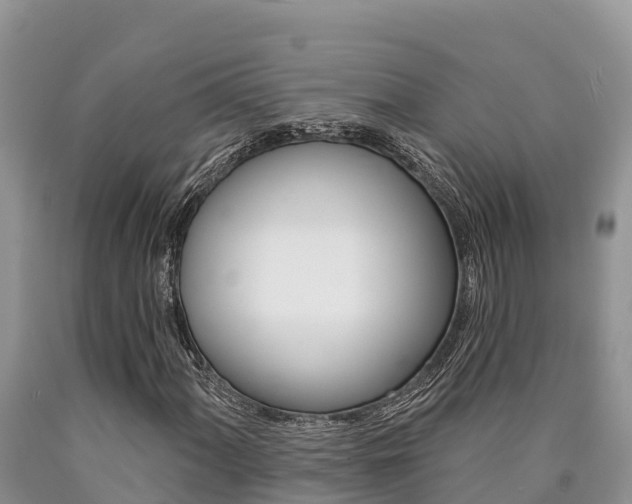 X0000090781060200707201130