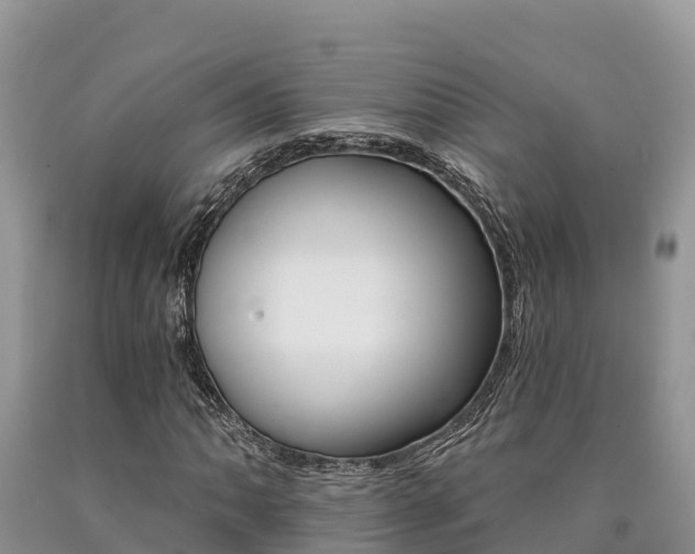 X0000090781062200707201130