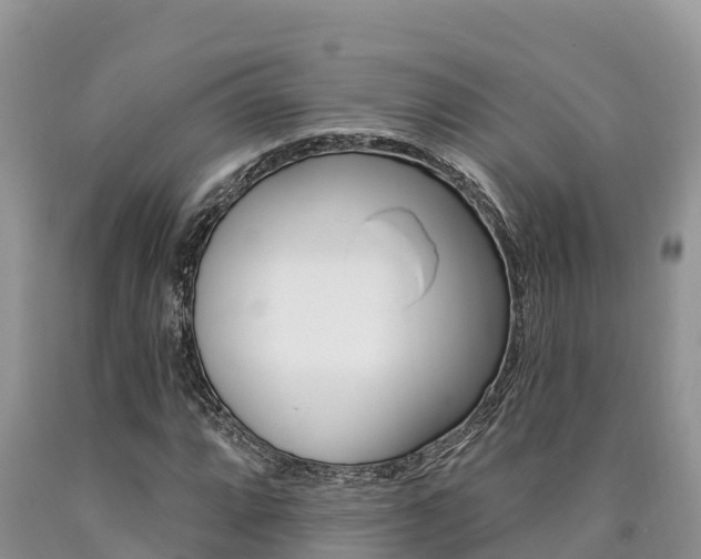 X0000090781064200707201130