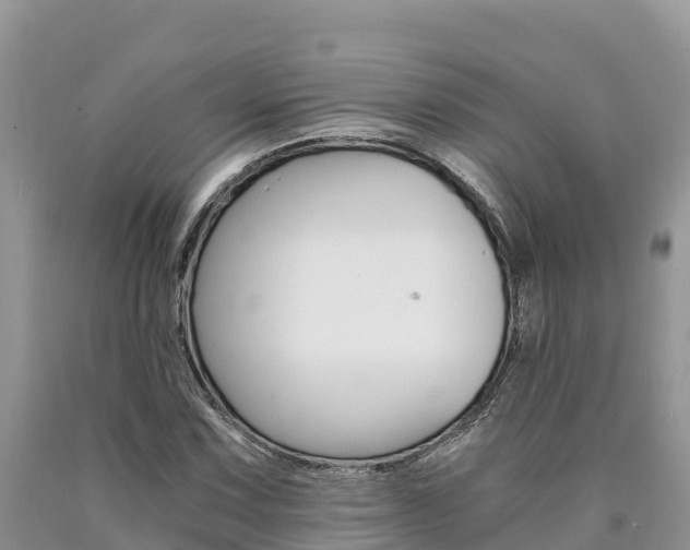 X0000090781067200707201130