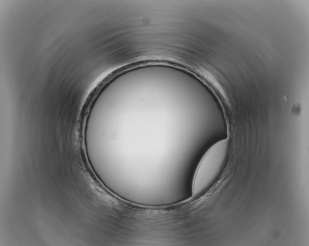 X0000090781068200707201130