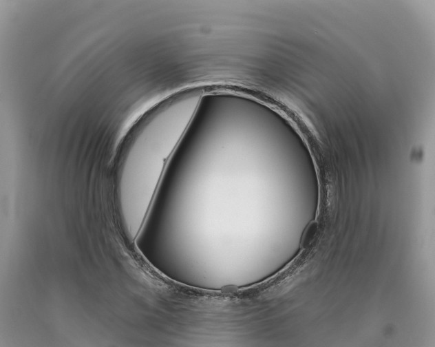X0000090781069200707201130