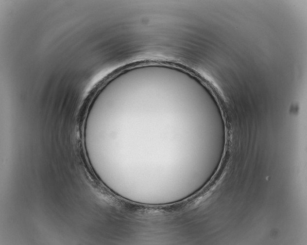 X0000090781070200707201130