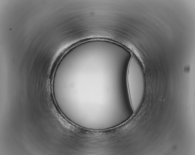 X0000090781072200707201130