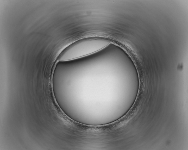 X0000090781073200707201130