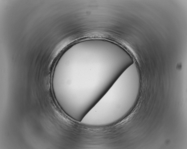 X0000090781075200707201130