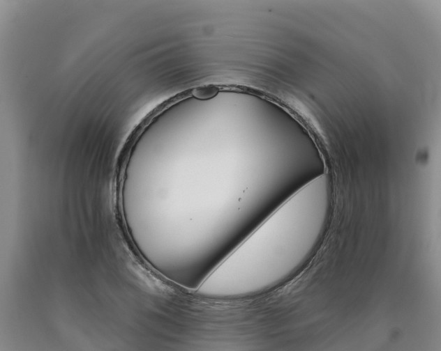X0000090781076200707201130