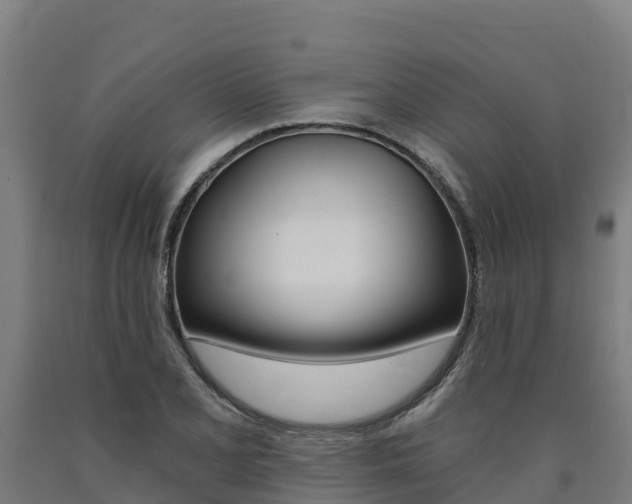 X0000090781077200707201130