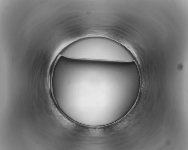 X0000090781080200707201130