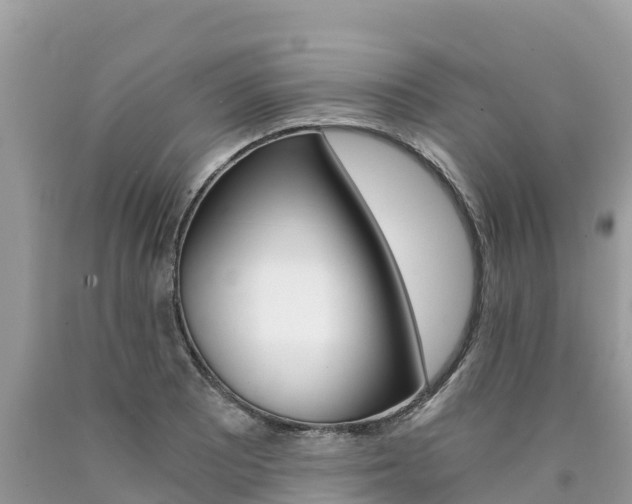 X0000090781081200707201130