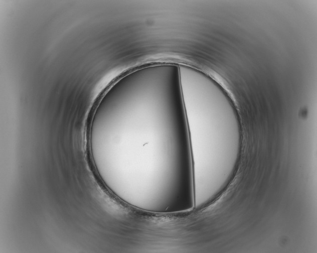 X0000090781082200707201130
