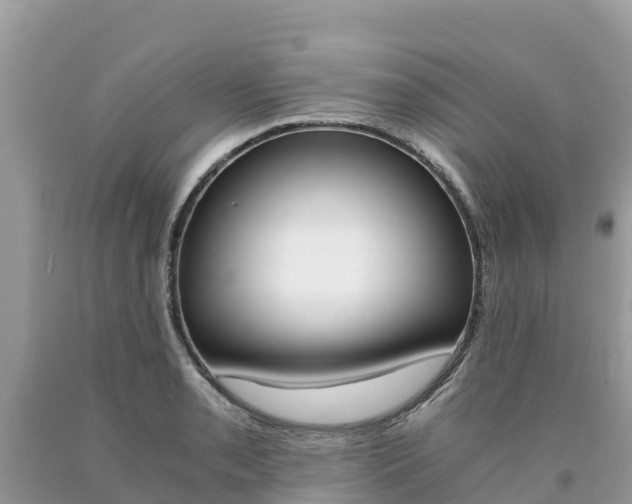 X0000090781085200707201130