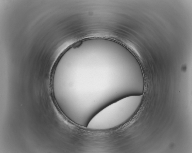 X0000090781087200707201130