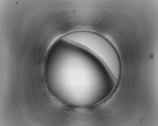 X0000090781089200707201130
