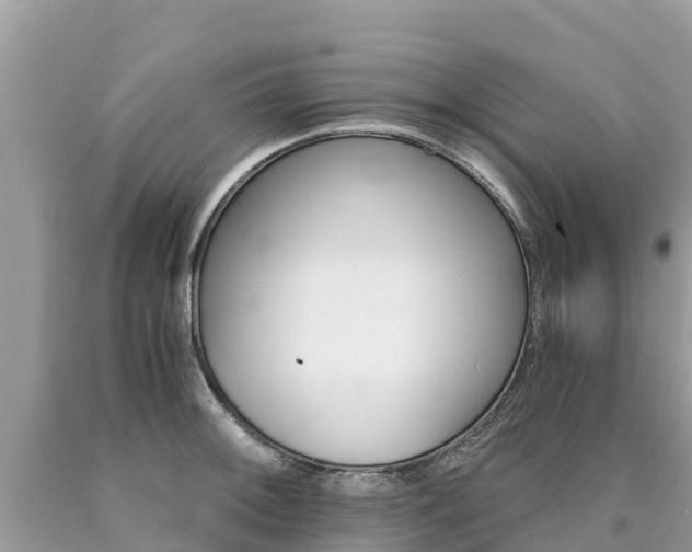 X0000090781092200707201130