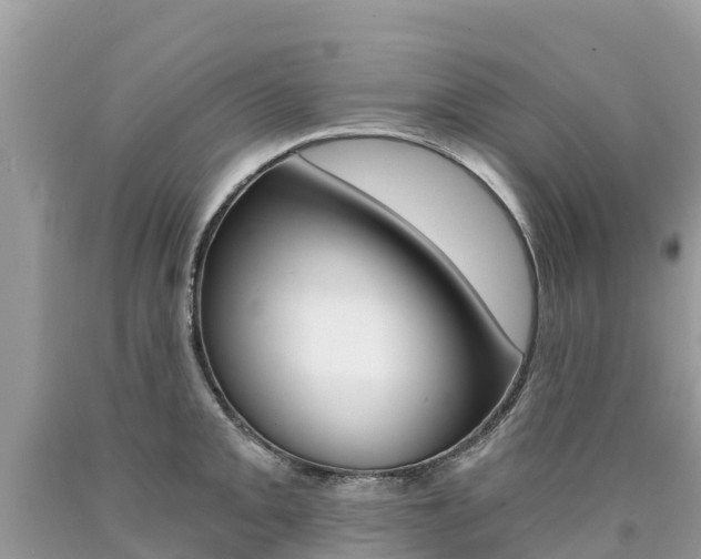 X0000090781093200707201130