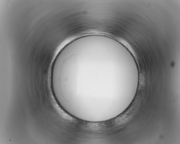 X0000090781098200707201130