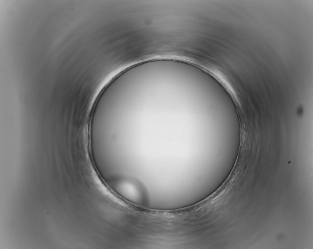 X0000090781100200707201130