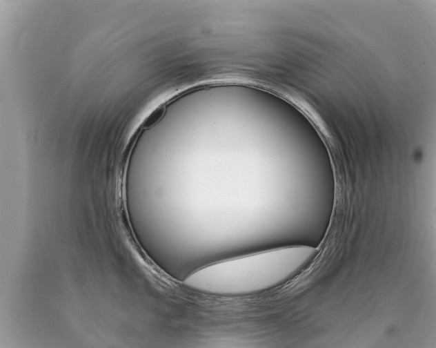 X0000090781101200707201130