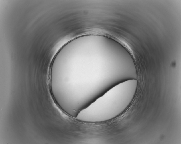 X0000090781103200707201130