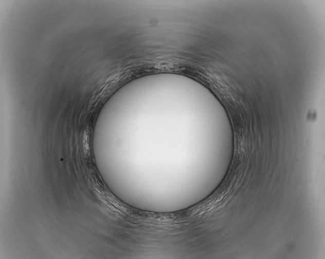 X0000090781106200707201129