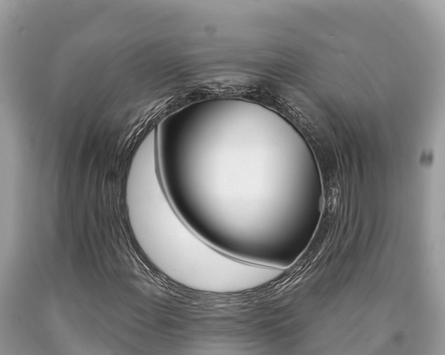X0000090781108200707201129