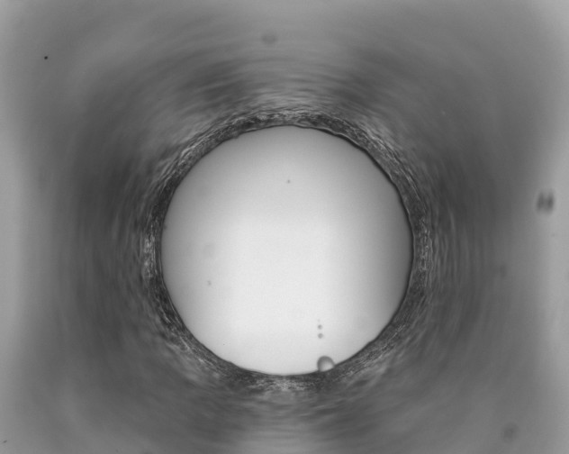 X0000090781109200707201129