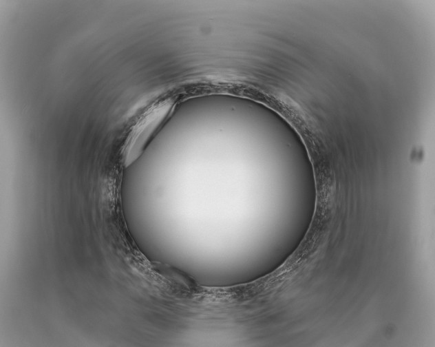 X0000090781110200707201129