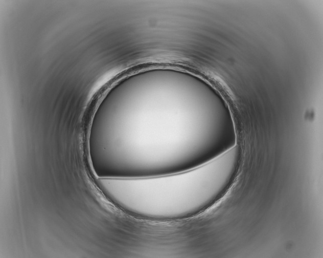 X0000090781114200707201129