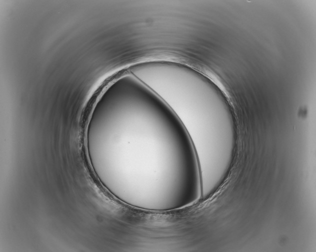 X0000090781116200707201129