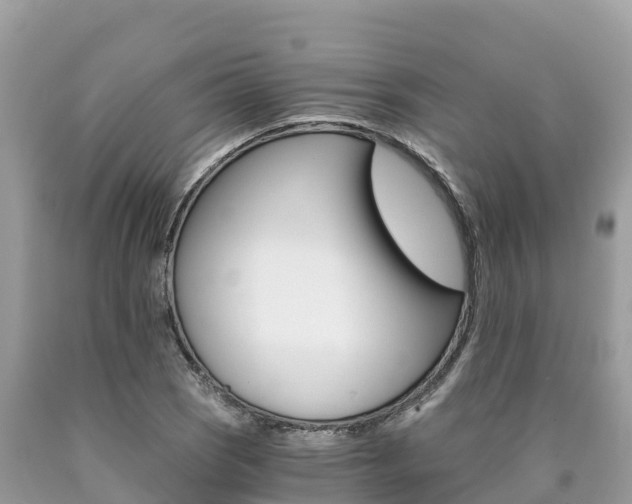 X0000090781121200707201129