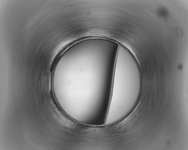 X0000090781123200707201129